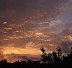 Ciudad Redonda. Un lugar para compartir lo que somos.